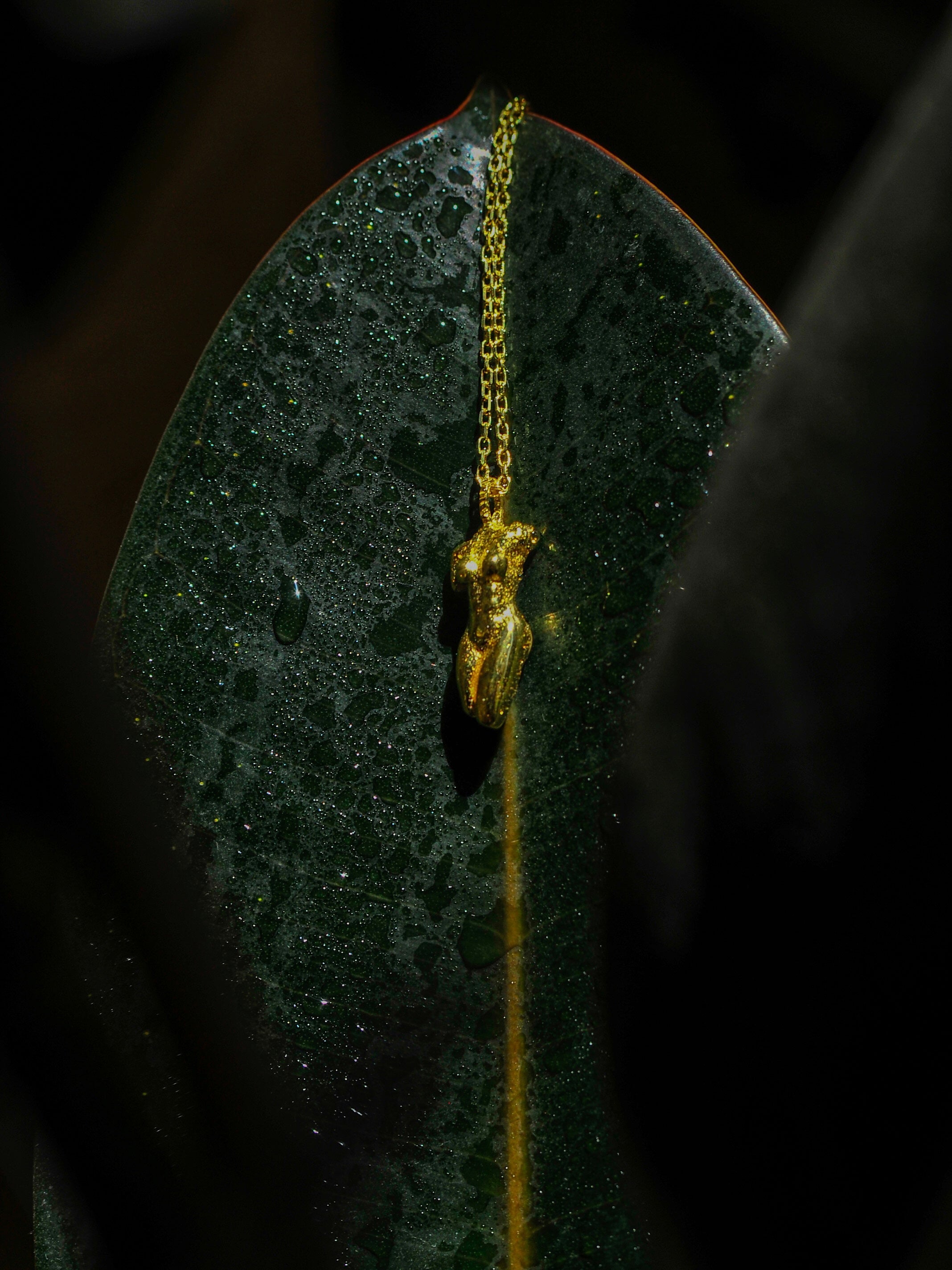 Lady Soul - Gold